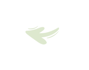 Previous
